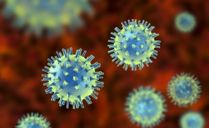 virus coronavirus covid covid-19 vaccin 
