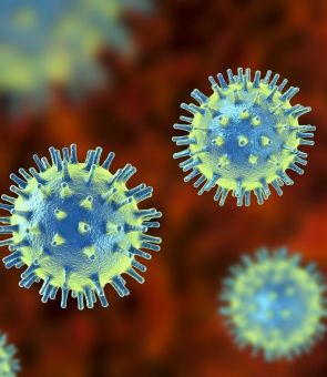 virus coronavirus covid covid-19 vaccin