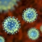 virus coronavirus covid covid-19 vaccin