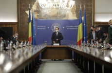 Guvern cîțu