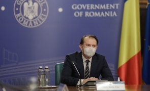 Guvern cîțu