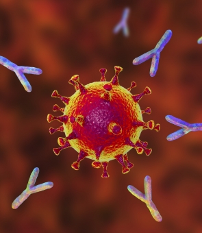 vaccin covid-19 coronavirus sars-cov-2
