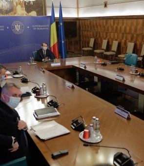 Guvern cîțu sedinta
