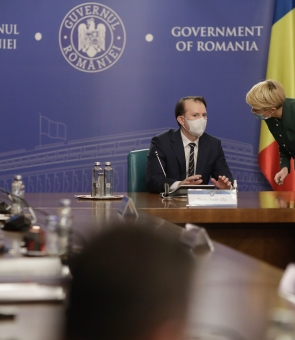 Guvern cîțu sedinta