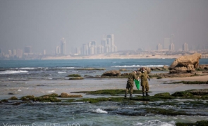 maree poluare Israel