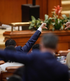vot parlament plen camera deputatilor