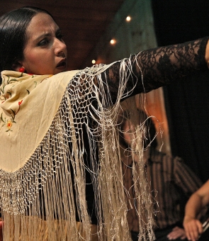 flamenco dans