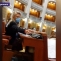 vot deputat