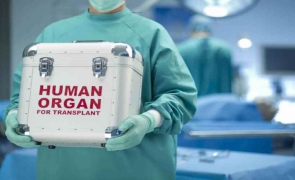 Organe umane transplant