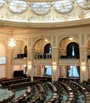 plen senat