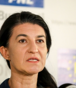 Violeta Alexandru