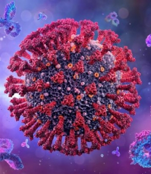 virus covid delta