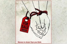 for sale maini sclavie