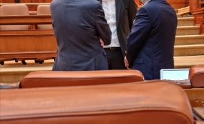 Ludovic Orban discuta cu Ionut Mosteanu