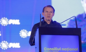 florin citu pnl