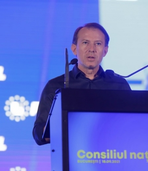 florin citu pnl