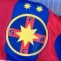 FCSB