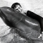 delfin