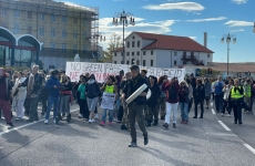 protest certifcat verde italia