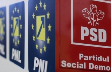 PNL PSD 
