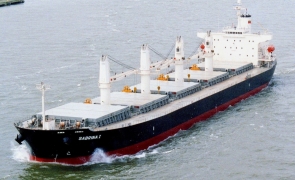 bulk carriers nava maritima transport containere