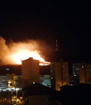 incendiu vegetatie pietricica piatra neamt