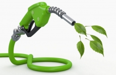 Combustibili Alternativi biodisel biodiesel