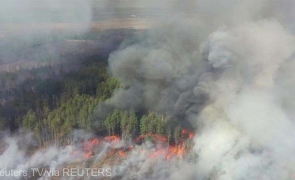 incendii padure Cernobil