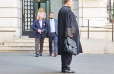 tariceanu avocati