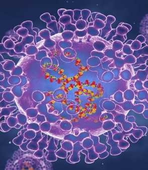 Variola maimuței monkeypox