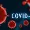 covid-19 coronavirus sars-cov-2