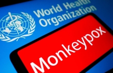 variola maimutei monkeypox virus