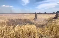 incendiu lan grau ucraina
