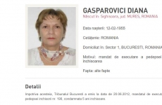 diana gasparovici
