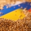 cereale-ucraina