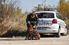 politie caine de urma Câine polițist