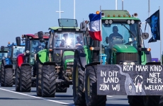 fermieri olanda tarile de jos
