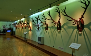 Muzeul Cinegetic Posada